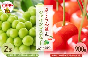 【2026年先行予約 2回 定期便】GI東根さくらんぼandシャインマスカットコース（佐藤錦露地900g、シャインマスカット2房）山形県 東根市 hi999-047