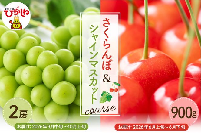 【2026年先行予約 2回 定期便】GI東根さくらんぼandシャインマスカットコース（佐藤錦露地900g、シャインマスカット2房）山形県 東根市 hi999-047