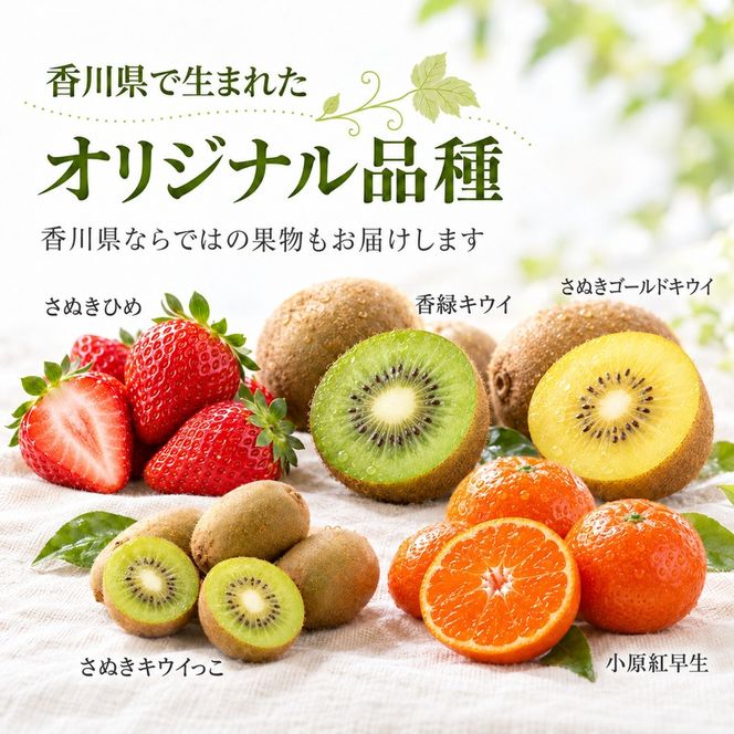 フルーツ 定期便 3回 香川県産 讃岐 さぬき さぬきひめ苺 いちご 苺 温室さぬき小原紅 紅みかん みかん 柑橘 さぬきキウイっこ キウイ 化粧箱 約1kg 約1.2kg 約800g 果物 くだもの 旬 2月発送 7月発送 11月発送 香川県 東かがわ市 46312744