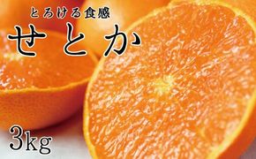 とろける食感！ジューシー柑橘　せとか　約3kg【予約】※2027年2月下旬頃〜2027年3月中旬頃発送(お届け日指定不可)【uot506A】