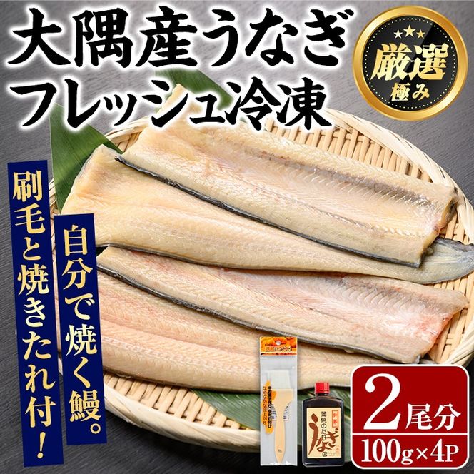 【0165707a】大隅産鰻フレッシュ冷凍(4パック・計約400g・タレ、刷毛付) うなぎ ウナギ 鰻 国産 冷凍うなぎ 蒲焼き たれ はけ ハケ 刷毛 鹿児島 ふるさと 【南嘉起屋】