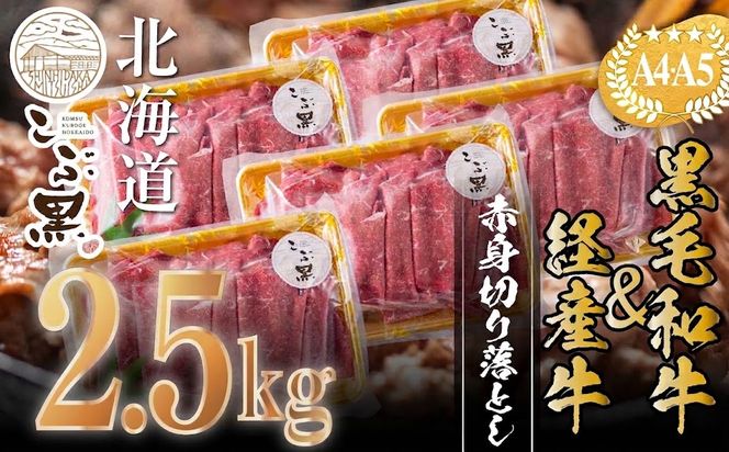 訳あり 北海道産 黒毛和牛 こぶ黒 赤身 切り落とし 2.5kg ( 500g × 5パック ) 【 LC 】 黒毛和牛 和牛 牛肉 経産牛