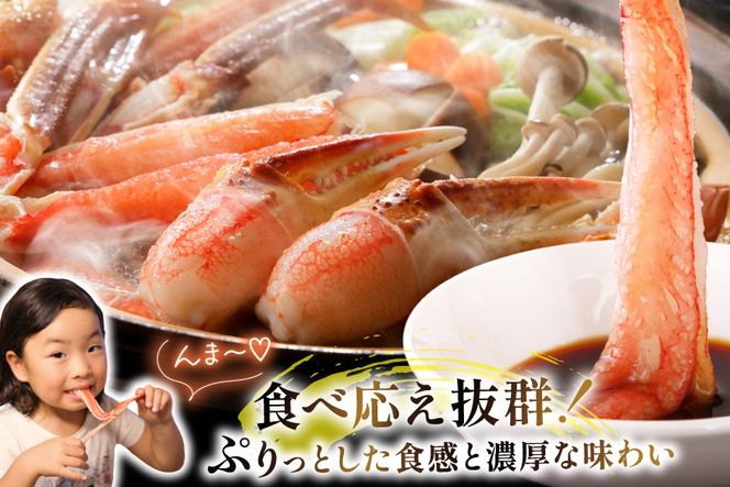 かに【年内配送】 カット済 生 ずわいがに むき身 セット 総重量 1.5kg (正味重量1.2kg) 2-3Lサイズ [カネダイ 宮城県 気仙沼市 20565690] かに カニ ズワイガニ ずわい ズワイ 蟹 棒肉 ポーション かに鍋 かにしゃぶ 生ずわい