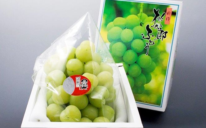 ぶどう 2026年 先行予約 桃太郎 ぶどう 2房（1房 480g以上 ハウス栽培）贈答用 ブドウ 葡萄  岡山県産 国産 フルーツ 果物 ギフト 