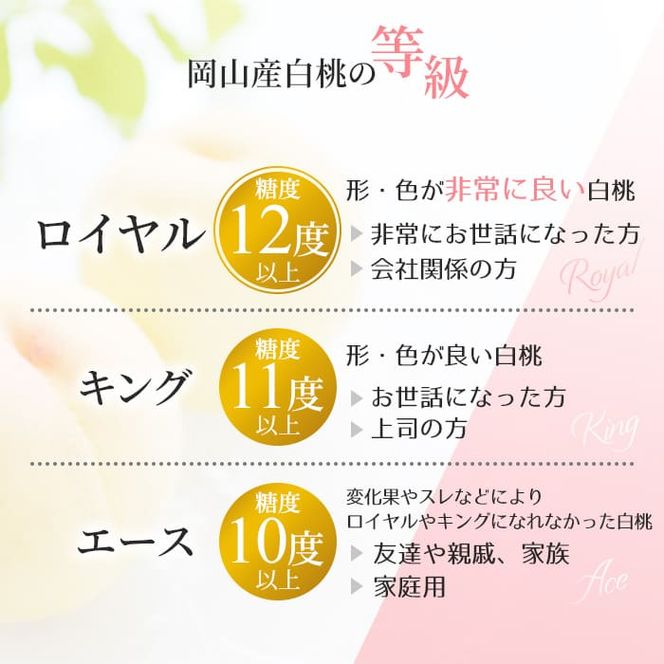 桃 2026年 先行予約 岡山 白桃 ロイヤル 約4kg 8～15玉入り もも モモ 岡山県産 国産 フルーツ 果物 ギフト 橋田商店