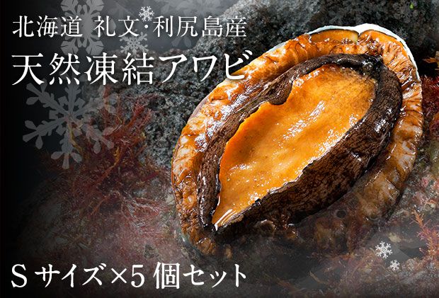 礼文島産 凍結島アワビ Sサイズ 5個 魚貝類 魚介類 鮑利尻昆布 良質 瞬間冷凍 磯の香り コリコリ 獲れたて 甘い 贈り物 