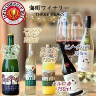 【６本セット】大船渡で造るワイン赤白 アップルシードル アップルワイン アップルジュース  おつまみ ワイン ワインセット wine wainn ボルドー チーズ グラス 国産 大船渡  辛口ワイン ギフト 贈答品 贈り物 お土産 土産 手土産 りんごジュース りんご 林檎 アップル シードル 100%[suripikusu011]