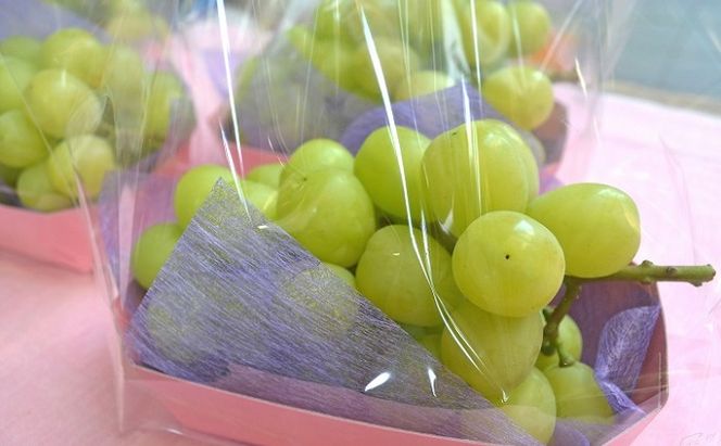 シャインマスカット 2房 フルーツの里の直売所より 葡萄 果物類 ぶどう 皮ごと 高い糖度 ※配送不可：離島