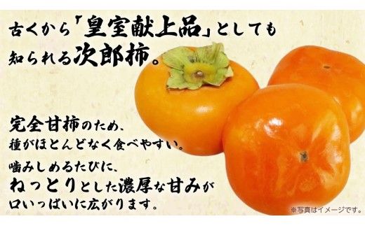 次郎柿 3kg 【2026年9月上旬発送開始】(茨城県共通返礼品：大子町) 柿 かき カキ 次郎柿 完全甘柿 秋の味覚 果物 フルーツ 旬