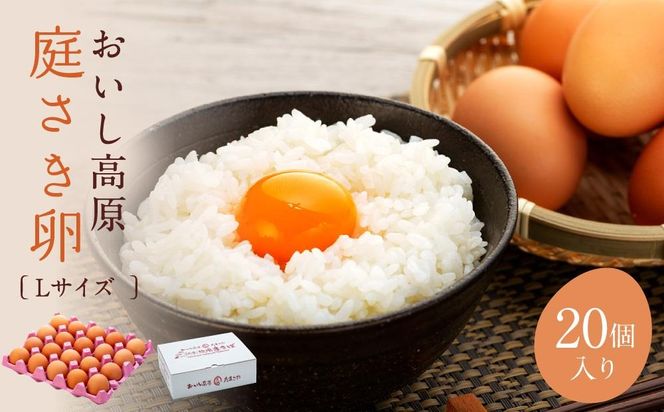 ya̎RLc쒬z 낳 LTCY 20 ܂  ʎq ED002