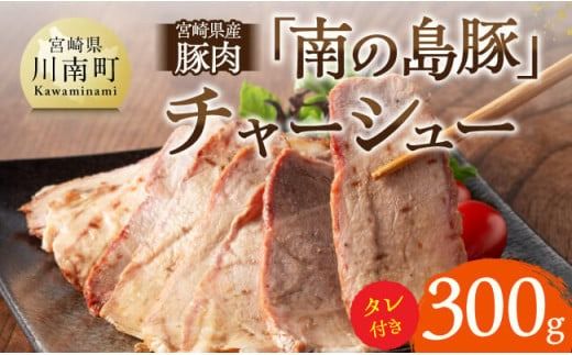 宮崎県産豚肉 「南の島豚」チャーシュー300g(タレ付)[ 宮崎県産 国産 肉 豚 豚肉 モモ肉 肩肉 チャーシュー 宮崎県 川南町 送料無料 ][D12101]