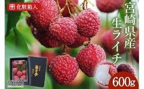 【先行予約】＜宮崎県産ライチ600g＞2026年7月中に順次出荷【c644_mk_x6】