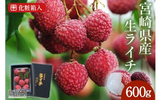 y{茧S璬zys\z{茧YC`600g2026N7ɏoׁyc644_mk_x6z