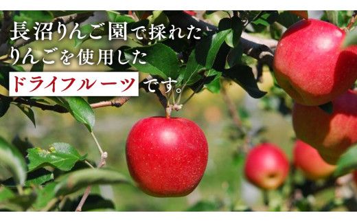 長沼りんご園 の どらいりんご 5袋 【 2026年9月より発送開始～ 】 砂糖不使用 オイル不使用 皮ごとカット ドライフルーツ 乾燥りんご 果物 りんご 国産 アップル リンゴ ドライアップル 自然派おやつ ヨーグルトに プチギフト