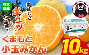  訳あり みかん くまもと小玉みかん 約 10kg (10kg×1箱)  蜜柑 小玉 旬 不揃い 傷 ご家庭用 SDGs 小玉 たっぷり 熊本県 産 S-3Sサイズ フルーツ 旬 柑橘 長洲町 温州みかん《2025年10月中旬-12月末頃出荷》---fn_nkomikan_bc1012_r7_10000_10kg---