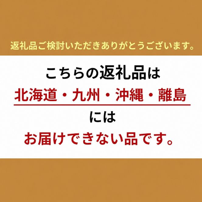 とれたて 野菜 パック 定期便 3回 季節の野菜 セット 詰め合わせ 8品前後 野菜セット 野菜詰め合わせ 3ヶ月 ジャガイモ 人参 大根 小松菜 白ネギ グリーンリーフ チンゲン菜 椎茸 トマト 水菜 葉ネギ 人気 厳選 静岡県