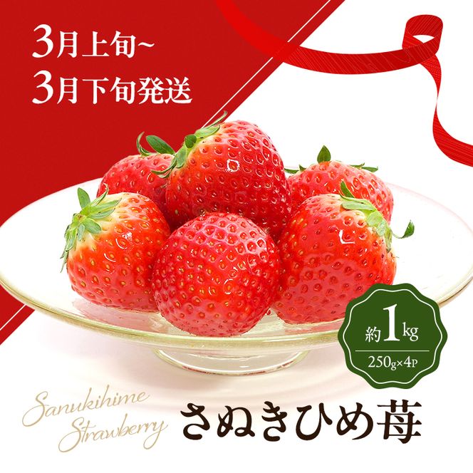 讃岐のいちご定期便（全3回）【さぬきひめ】