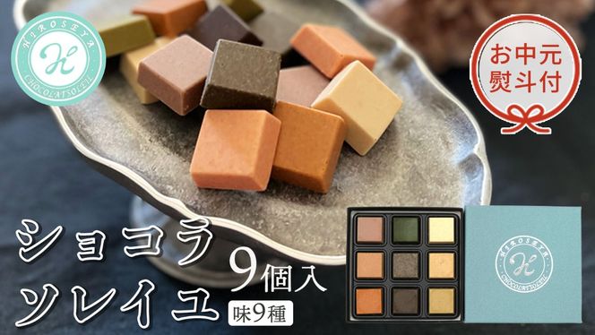 【 お中元 熨斗付 】  ショコラソレイユ 9種 チョコレート チョコ スイーツ デザート 高級 ギフト 贈り物 お礼 プレゼント 手土産 お菓子 [DJ08-NT]