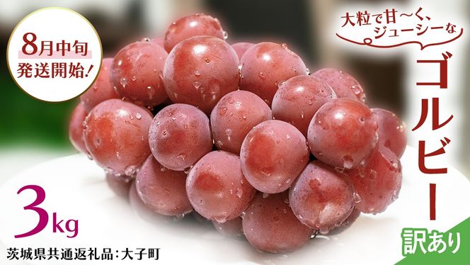 【 訳あり 】 ゴルビー 3kg 【2026年8月中旬発送開始】(茨城県共通返礼品：大子町) ぶどう 葡萄 ブドウ 果物 フルーツ 果実 ワケあり ご自宅用 ご家庭用 自分用