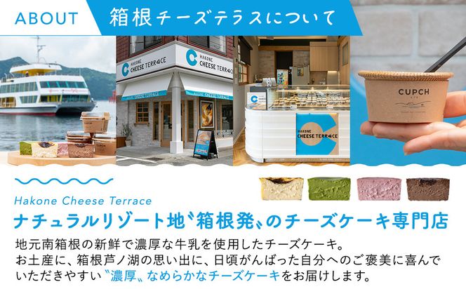 箱根発！なめらか濃厚バスクチーズケーキ 箱根チーズテラス・カプチ 【プレーン6個セット】 142069_JF002