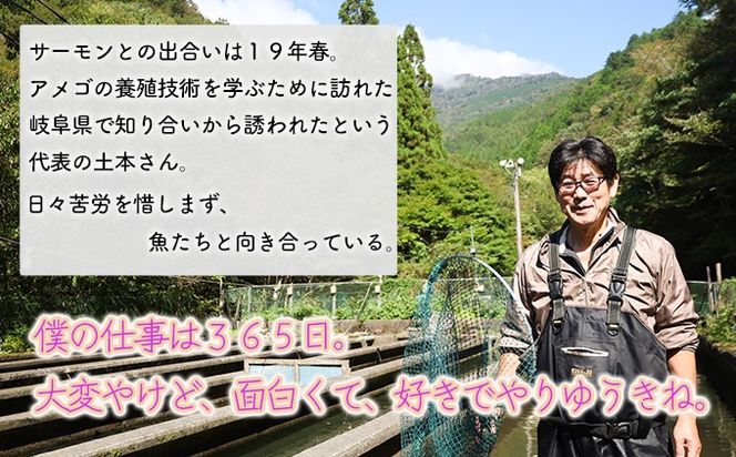 ★お中元★　氷室サーモン400g（200g×2個）