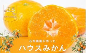 【予約受付】Sサイズ以上 サイズ混合 石本農園のハウスみかん 2.5kg【2025年7月上旬から下旬に順次発送】 / みかん ミカン 蜜柑 ハウスみかん【mis010】