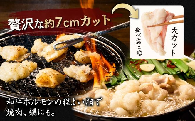 カットホルモン　K137-002