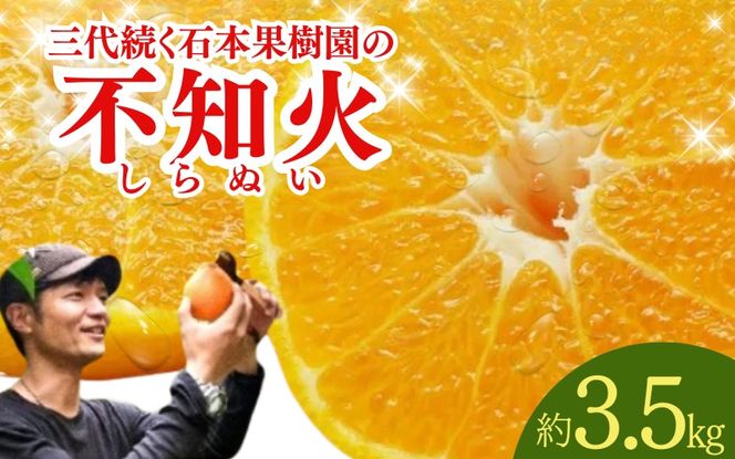 【先行予約】石本果樹園の美味しい 不知火 約3.5kg 約8～12玉前後【2027年2月初旬から2月下旬までに順次発送予定】 / みかん フルーツ くだもの 果物 デコポン 不知火【min002B】