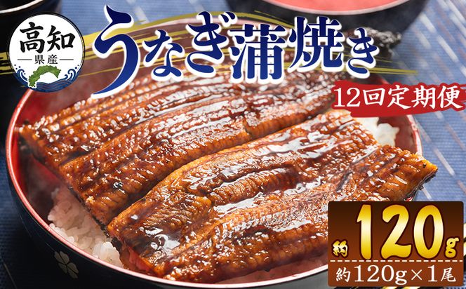 鰻 定期便 国産 うなぎ 定期便 100g～120g １尾 12回 蒲焼き 高知県産 養殖 魚介 国産 海鮮 魚 かばやき 鰻 ウナギ 惣菜 おかず お手軽 加工品 加工食品 冷凍 Wfb-0036