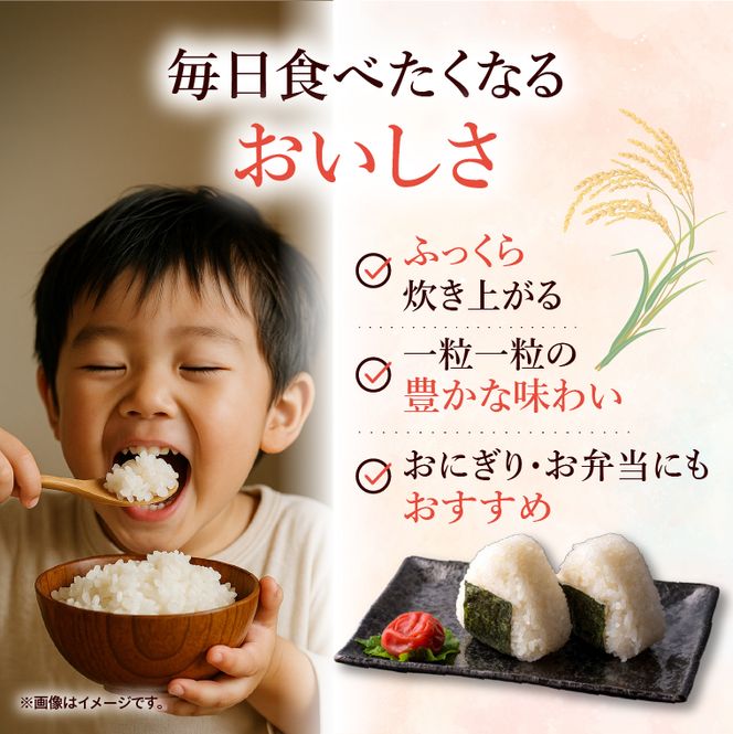 令和7年産 茨城県産 コシヒカリ15kg（5kg×3袋）【お米 米 コメ こめ こしひかり 北茨城市 茨城県】(AL255)