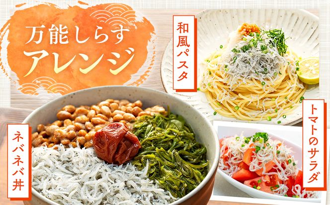 日間賀島 釜揚げ しらす 1kg 天然 塩 愛知県 南知多町 冷凍 ご飯 ごはん パスタ サラダ ピザ 丼 料理 国産 パーティー 魚 さかな シラス ミネラル 人気 おすすめ