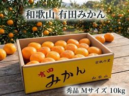 ［秀品・サイズＭ］和歌山有田産！早生みかん≪10kg≫［予約販売］［数量限定］まる隆果樹園 CS025