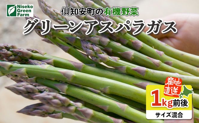 【2026年発送】北海道産 アスパラガス 有機 グリーンアスパラ 1kg前後 サイズ混合 オーガニック アスパラ 旬 朝採り 新鮮 お取り寄せ 産地直送 産直 野菜 農作物