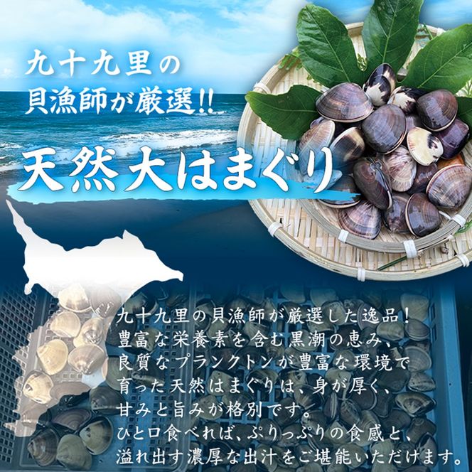 訳あり はまぐり 規格外 大はまぐり 10パック 計 4kg 貝 海鮮 魚介 海の幸 ハマグリ 蛤 海産物 国産 天然 産地直送 千葉県 九十九里 九十九里浜