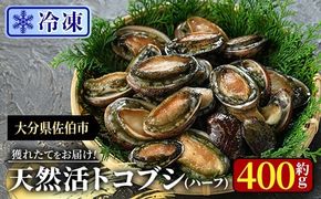 冷凍 天然活きトコブシ (約400g・ハーフサイズ) 魚介 貝 トコブシ とこぶし 網焼き バター焼き バーベキュー 獲れたて 冷凍 海の直売所 大分県 佐伯市【AS149】【海べ】