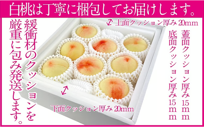 桃 2026年 先行予約 岡山の白桃 200g以上×8玉 白桃 旬 みずみずしい 晴れの国 おかやま 岡山県産 フルーツ王国 果物王国 デザート 岡山の桃 旬の桃 [№5735-1326]
