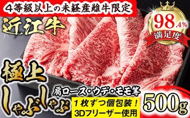 【森三商会】4等級以上の未経産雌牛限定　近江牛極上しゃぶしゃぶ500g（肩ロース・ウデ・モモ等）【GM07SM】