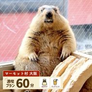 マーモット村大阪 体験チケット(満喫プラン ワンドリンク＆お土産付き)｜カフェ 体験 動物 アニマルカフェ [2609]
