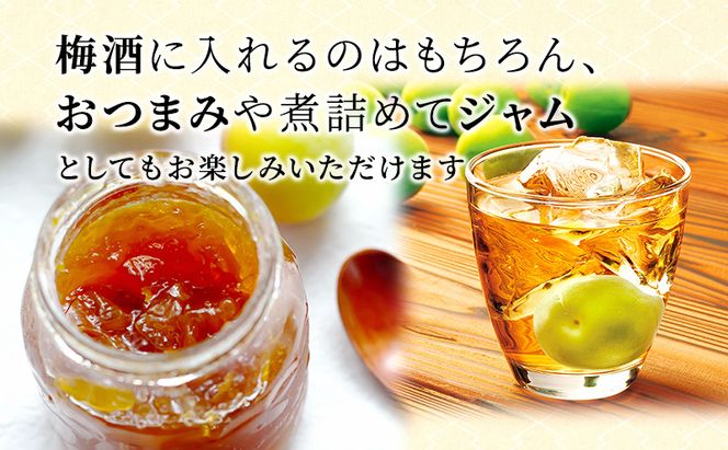 梅 梅酒の梅 10袋 セット 梅酒 おやつ おつまみ つまみ ジャム 手作り うめ ウメ 福井県 福井 