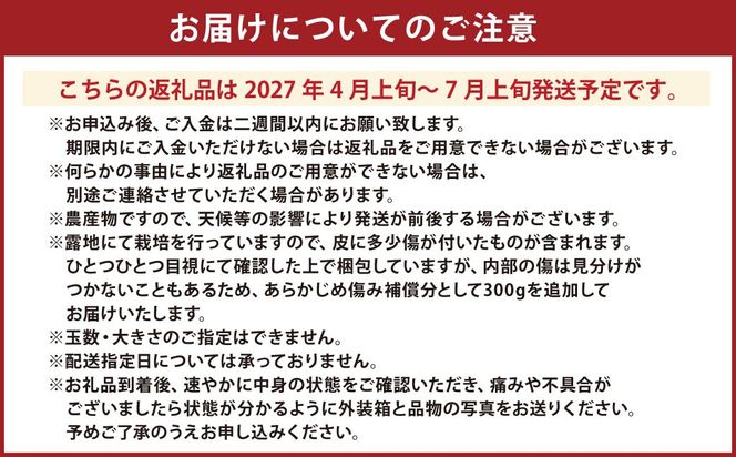 【先行受付】特別栽培河内晩柑 7kg サイズミックス 特別栽培 河内晩柑 柑橘 晩柑 ばんかん バンカン フルーツ 果物 果実 九州産 熊本県産【2027年4月上旬～7月上旬発送開始】