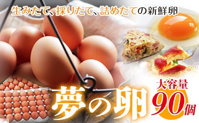 卵 たまご 赤玉 夢の卵 90個《90日以内に出荷予定(土日祝除く)》株式会社めぐみ 岡山県 浅口市 送料無料 大容量 大箱 たっぷり---124_79_90d_23_21000_9---