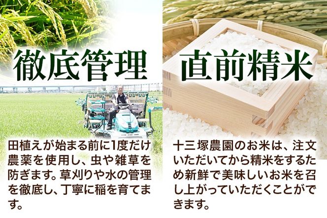 【無洗米】＜新米＞宮城県利府町産 一等米ひとめぼれ10kg(10kg×1) 令和6年産|06_jne-011001m