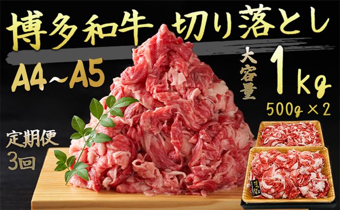 定期便 3ヶ月 牛肉 A4～A5 博多和牛 切り落とし 1000g 500g×2p 肩ロース 赤身 バラ カルビ 小分け 大好評につき継続！3回 配送不可：離島 