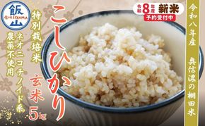 【令和8年産 新米】 特別栽培米 こしひかり  玄米 5kg 『奥信濃の棚田米 実の里』（Ck-004）