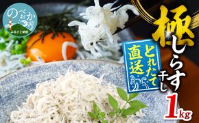 【とれたて直送】極しらす干し 1kg N065-YA4442