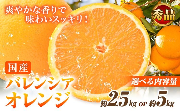 [秀品]※先行予約※希少な国産バレンシアオレンジ 選べる 約2.5kg 約5kg 株式会社 魚鶴商店[2026年6月下旬頃〜7月上旬頃出荷]和歌山県 日高川町 オレンジ 柑橘 フルーツ 果物---wshg_uot142_6g7j_25_10000_2500g---