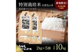 【通年受付】≪令和8年産≫ 農家直送！魚沼産コシヒカリ特別栽培「白羽毛の米」精米(2kg×5袋) 10kg お米 白米