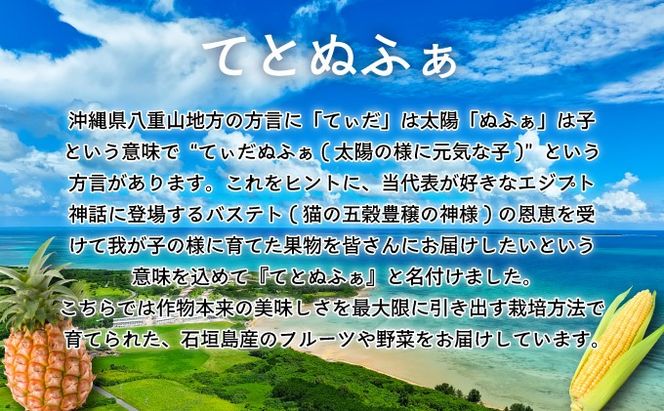 【先行予約2026年1月〜5月配送】1番遅くて1番早い！？ プレミアムヤングコーンとスイートコーンのよくばり定期便！！朝採れを皮付きのままお届け！！