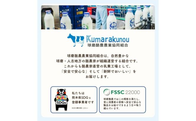 ヨーグルト もっちり、とろ～りの2つに食感！　球磨の恵みヨーグルト ( 加糖タイプ ) 3kg 【配送不可：沖縄県、離島】