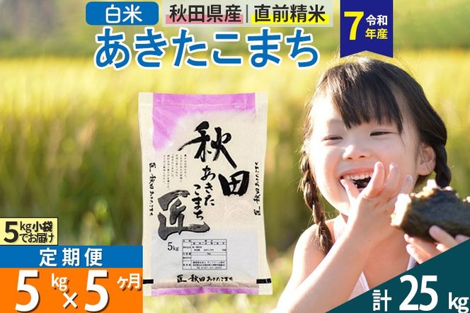 yHckszyāzߘa7NY s5tHcY ܂  5kg (5kg×1)×5 5L  |02_snk-010305s